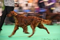 Crufts2011 183